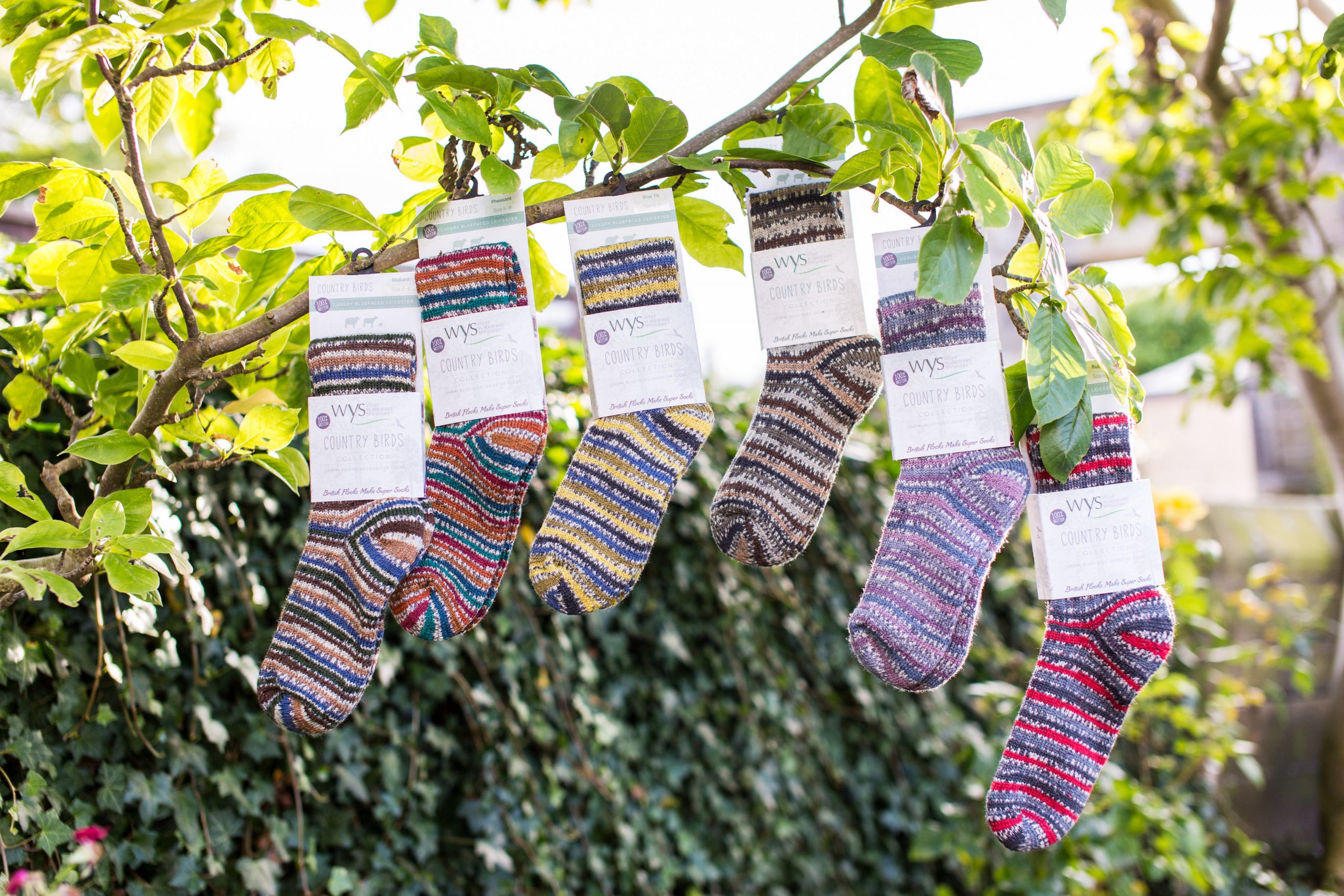 View More: http://natashacadman.pass.us/wyspinners